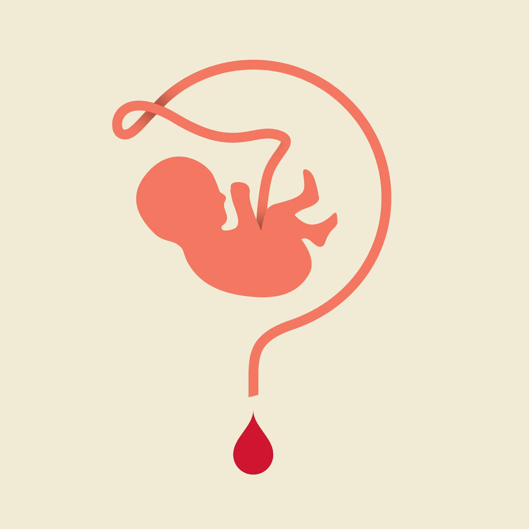 Stem Cell Preservation Process