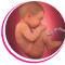 Experience Talk with Baby