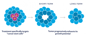 Breast cancer stem cell antigens
