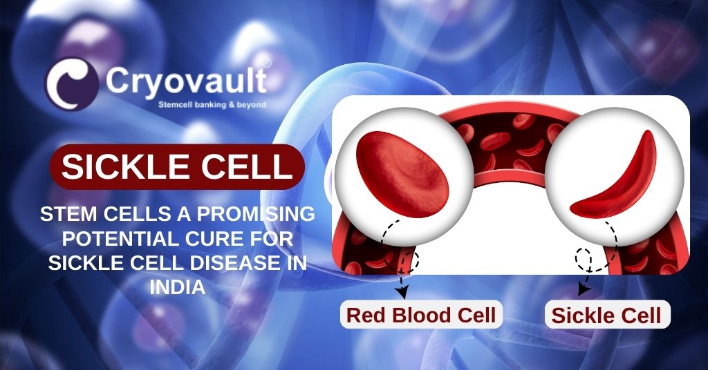 Secure Your Family's Future with Cryovault